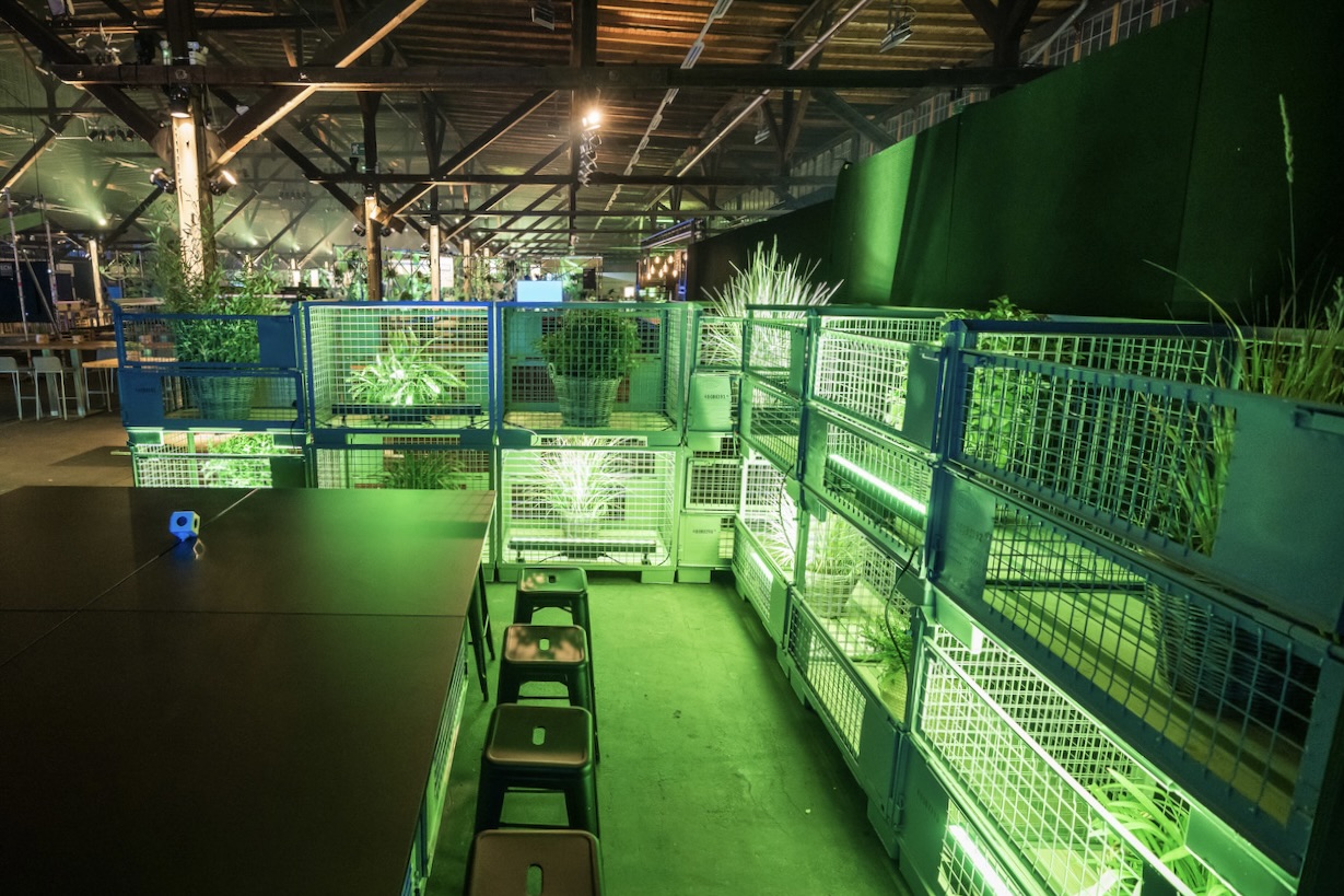 Ein atmosphärisches Bild des Set-Ups der SAP CONNECT 2022 in der Location Schuppen 52 in Hamburg. Zu sehen sind bepflanzte Gitterkästen mit grünem LED-Licht..